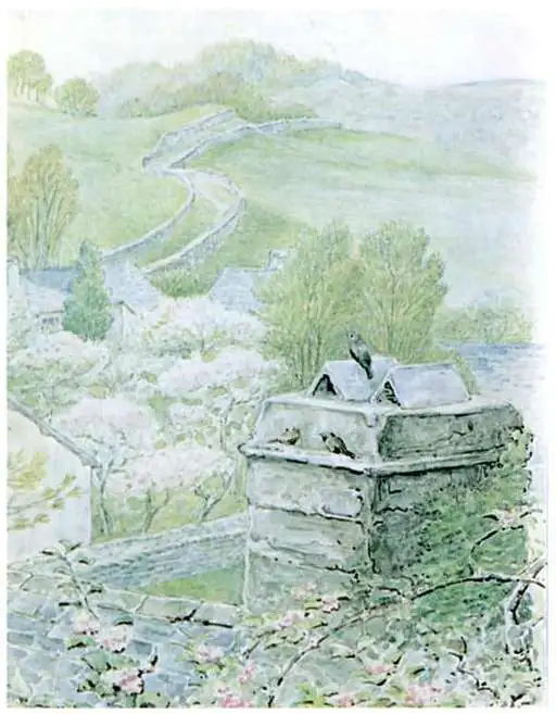 The chimney, the birds and the view The chimney, the birds and the view