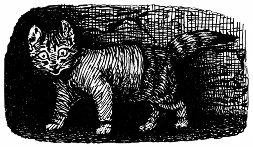 Kitty gets sooty Kitty gets sooty