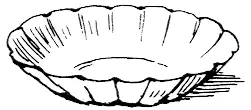 The Patty-Pan The Patty-Pan