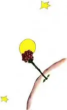 img19.webp