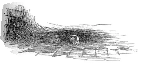 esq