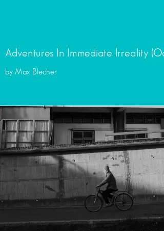 Adventures In Immediate Irreality (Occurrence in the Immediate Unreality) by Max Blecher pdf Book