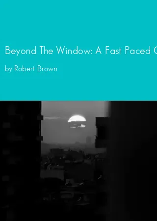 Beyond The Window: A Fast Paced Crime Thriller by Robert Brown pdf Book