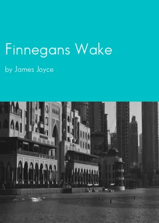 Finnegans Wake by James Joyce pdf Book