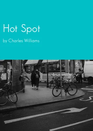 Hot Spot by Charles Williams pdf Book