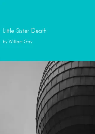 Little Sister Death by William Gay pdf Book