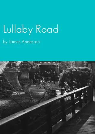 Lullaby Road by James Anderson pdf Book