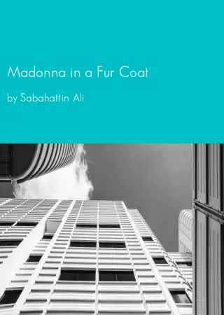 Madonna in a Fur Coat by Sabahattin Ali pdf Book