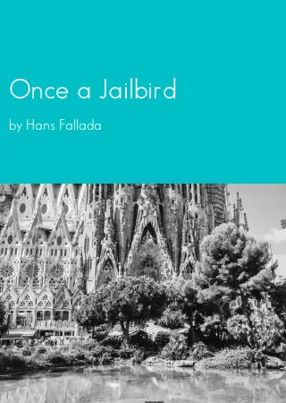 Once a Jailbird by Hans Fallada pdf Book