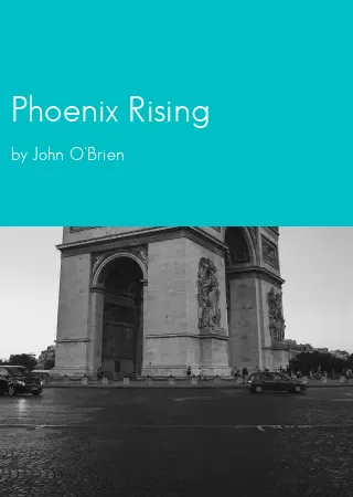 Phoenix Rising by John O'Brien pdf Book