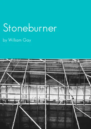 Stoneburner by William Gay pdf Book