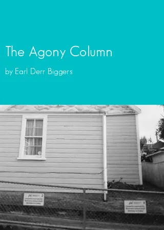 The Agony Column by Earl Derr Biggers pdf Book