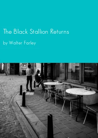 The Black Stallion Returns by Walter Farley pdf Book