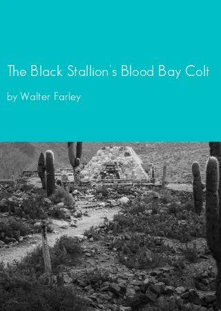 The Black Stallion's Blood Bay Colt by Walter Farley pdf Book