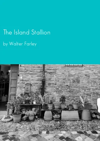 The Island Stallion by Walter Farley pdf Book