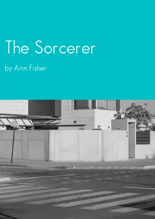 The Sorcerer by Ann Fisher pdf Book