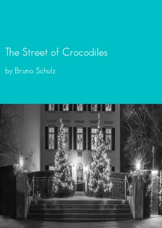 The Street of Crocodiles by Bruno Schulz pdf Book