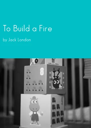 To Build a Fire by Jack London pdf Book